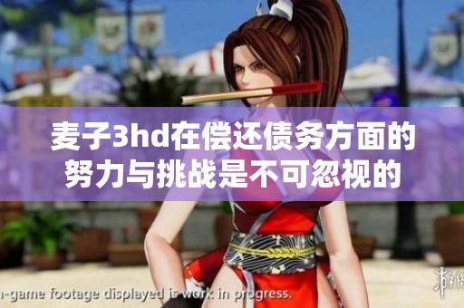 麦子3hd在偿还债务方面的努力与挑战是不可忽视的
