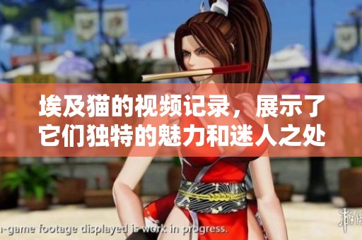 埃及猫的视频记录，展示了它们独特的魅力和迷人之处。