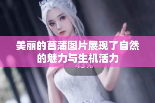 美丽的菖蒲图片展现了自然的魅力与生机活力