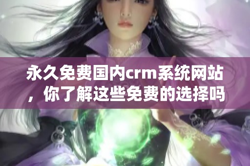 永久免费国内crm系统网站，你了解这些免费的选择吗