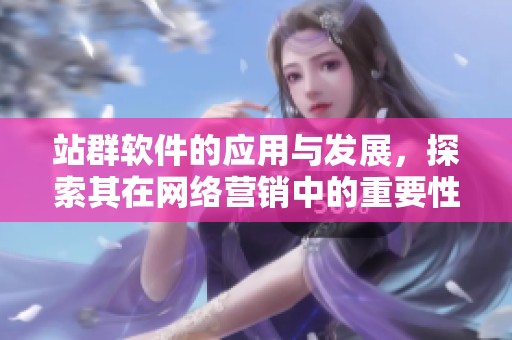 站群软件的应用与发展，探索其在网络营销中的重要性