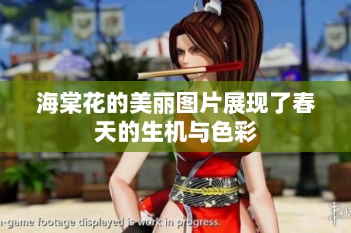 海棠花的美丽图片展现了春天的生机与色彩