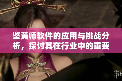 鉴黄师软件的应用与挑战分析，探讨其在行业中的重要性与影响