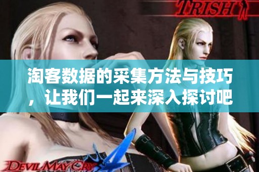 淘客数据的采集方法与技巧，让我们一起来深入探讨吧