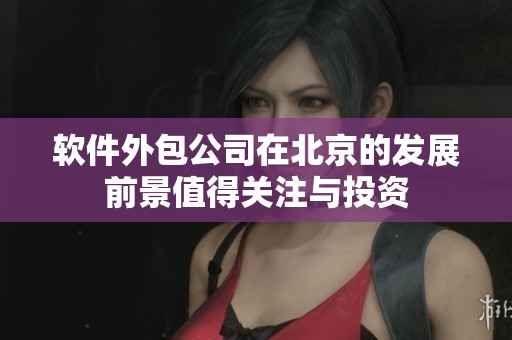 软件外包公司在北京的发展前景值得关注与投资