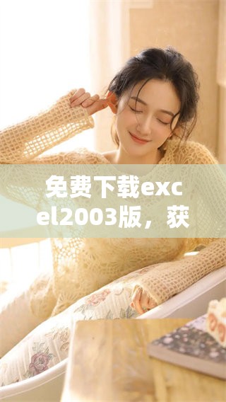 免费下载excel2003版，获取方便工具的最佳选择