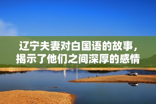 辽宁夫妻对白国语的故事，揭示了他们之间深厚的感情与生活。