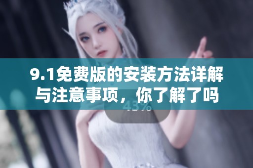 9.1免费版的安装方法详解与注意事项，你了解了吗