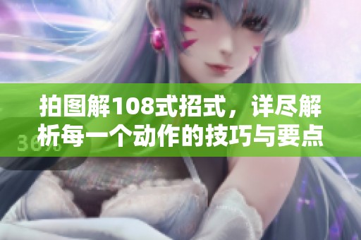 拍图解108式招式，详尽解析每一个动作的技巧与要点