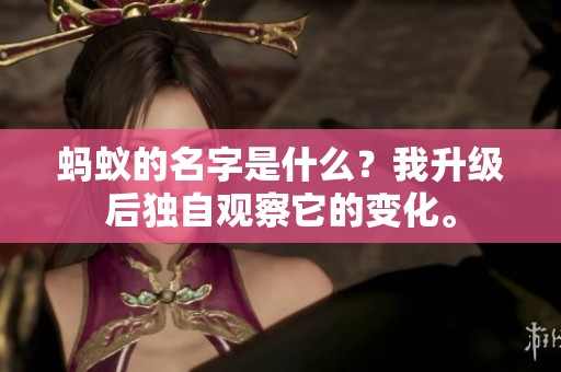 蚂蚁的名字是什么？我升级后独自观察它的变化。