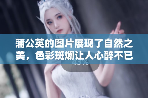 蒲公英的图片展现了自然之美，色彩斑斓让人心醉不已