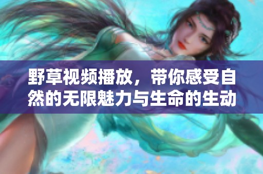 野草视频播放，带你感受自然的无限魅力与生命的生动展示