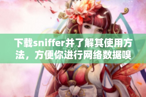 下载sniffer并了解其使用方法，方便你进行网络数据嗅探的操作技巧