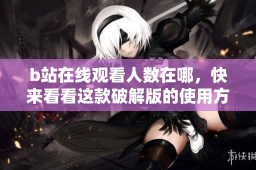 b站在线观看人数在哪，快来看看这款破解版的使用方法和特色吧
