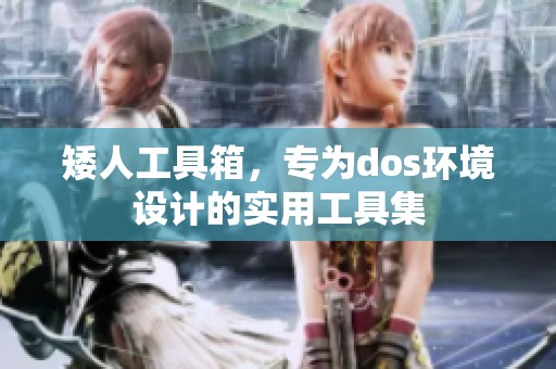 矮人工具箱，专为dos环境设计的实用工具集
