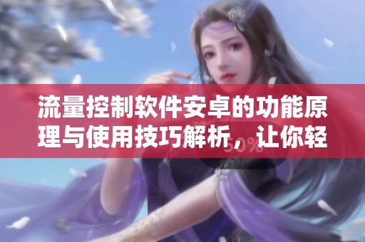 流量控制软件安卓的功能原理与使用技巧解析，让你轻松管理手机流量