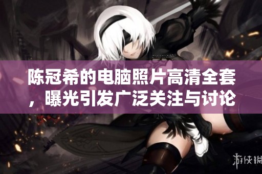 陈冠希的电脑照片高清全套，曝光引发广泛关注与讨论
