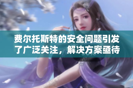 费尔托斯特的安全问题引发了广泛关注，解决方案亟待提出。