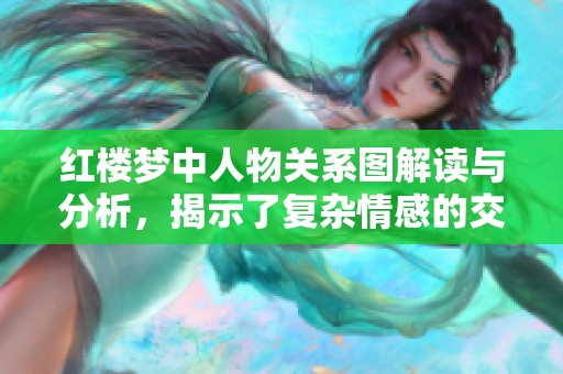 红楼梦中人物关系图解读与分析，揭示了复杂情感的交错网络
