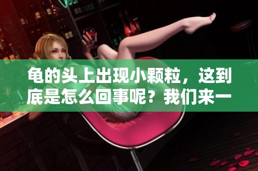 龟的头上出现小颗粒，这到底是怎么回事呢？我们来一起探讨一下。