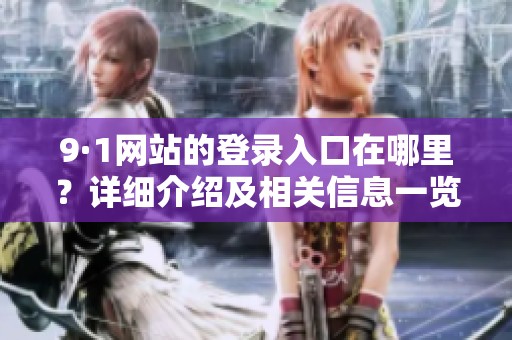 9·1网站的登录入口在哪里？详细介绍及相关信息一览