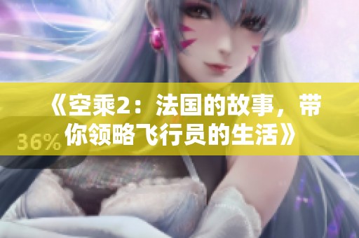 《空乘2：法国的故事，带你领略飞行员的生活》
