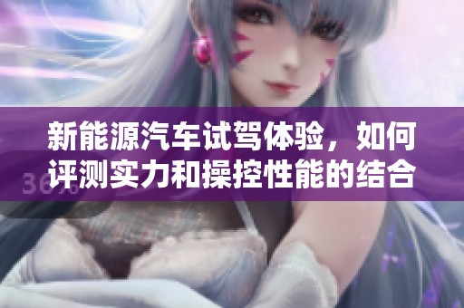 新能源汽车试驾体验，如何评测实力和操控性能的结合