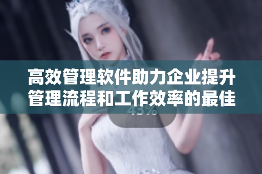 高效管理软件助力企业提升管理流程和工作效率的最佳选择