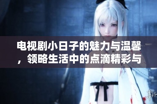 电视剧小日子的魅力与温馨，领略生活中的点滴精彩与感动
