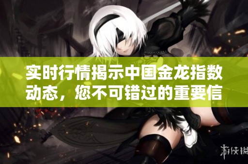 实时行情揭示中国金龙指数动态，您不可错过的重要信息！