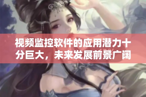视频监控软件的应用潜力十分巨大，未来发展前景广阔令人期待