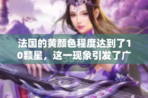 法国的黄颜色程度达到了10颗星，这一现象引发了广泛关注和讨论。