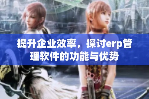 提升企业效率，探讨erp管理软件的功能与优势