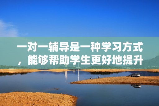 一对一辅导是一种学习方式，能够帮助学生更好地提升成绩和能力。