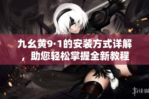 九幺黄9·1的安装方式详解，助您轻松掌握全新教程