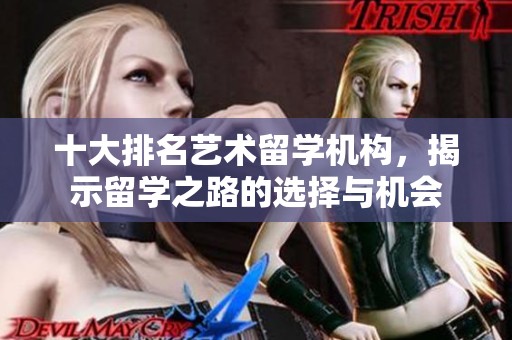 十大排名艺术留学机构，揭示留学之路的选择与机会