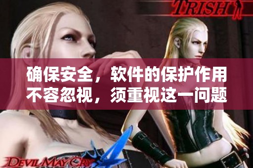 确保安全，软件的保护作用不容忽视，须重视这一问题