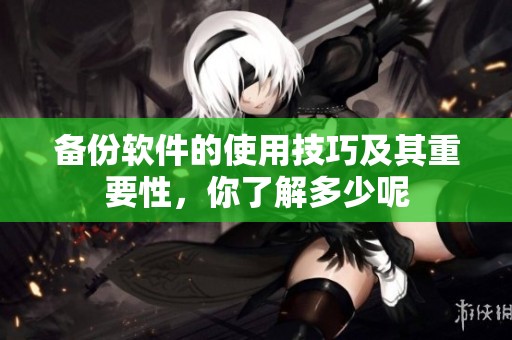 备份软件的使用技巧及其重要性，你了解多少呢