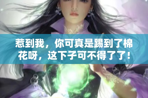惹到我，你可真是踢到了棉花呀，这下子可不得了了！