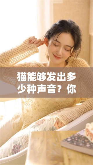 猫能够发出多少种声音？你知道它们的声音有多丰富吗