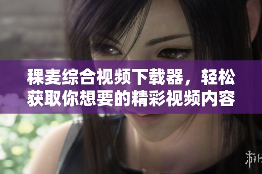 稞麦综合视频下载器，轻松获取你想要的精彩视频内容