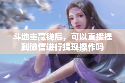 ***赢钱后，可以直接提到微信进行提现操作吗