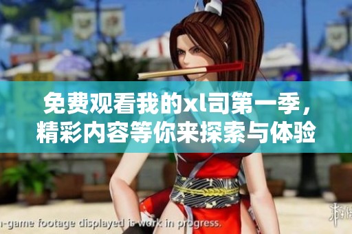 免费观看我的xl司第一季，精彩内容等你来探索与体验