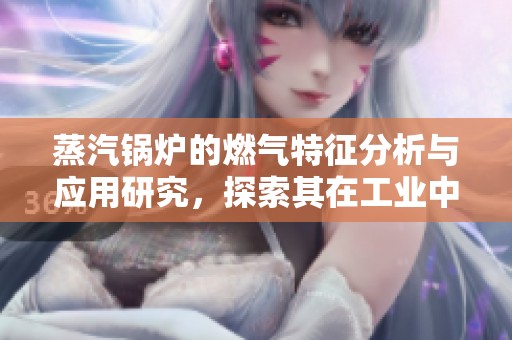 蒸汽锅炉的燃气特征分析与应用研究，探索其在工业中的重要性