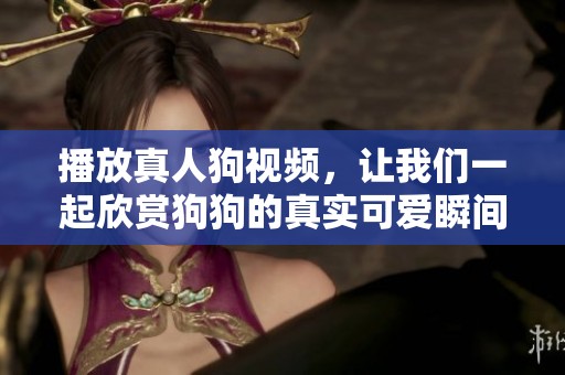播放真人狗视频，让我们一起欣赏狗狗的真实可爱瞬间