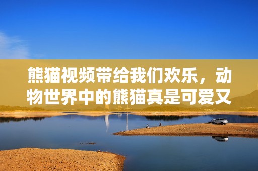 熊猫视频带给我们欢乐，动物世界中的熊猫真是可爱又迷人。