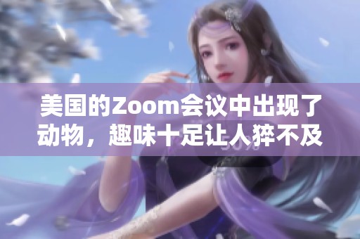 美国的Zoom会议中出现了动物，趣味十足让人猝不及防！