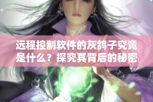 远程控制软件的灰鸽子究竟是什么？探究其背后的秘密与应用。