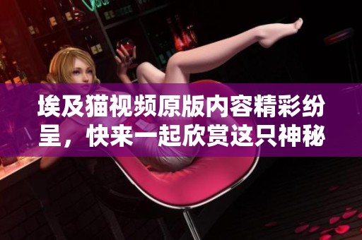 埃及猫视频原版内容精彩纷呈，快来一起欣赏这只神秘的猫咪吧！