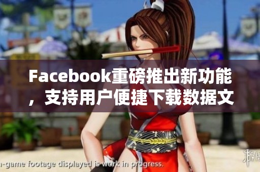 Facebook重磅推出新功能，支持用户便捷下载数据文件！